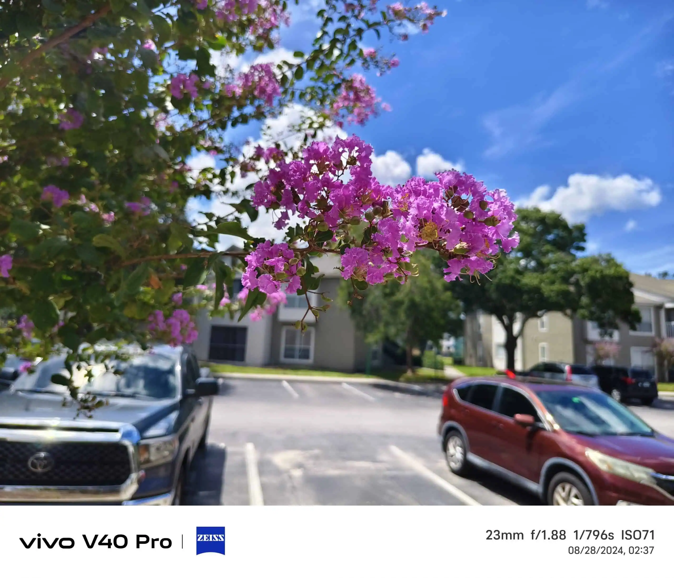 Vivo V40 Pro Camera Sample (6)