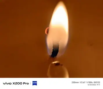 Vivo X200 Pro camera sample (100)