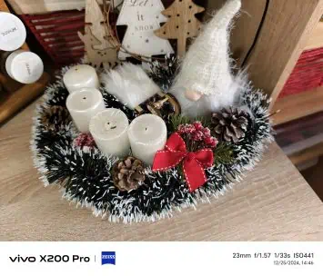 Vivo X200 Pro camera sample (132)