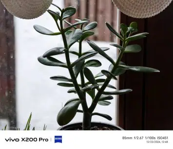 Vivo X200 Pro camera sample (14)