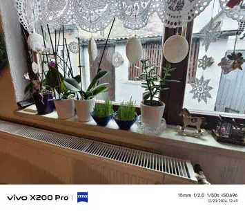 Vivo X200 Pro camera sample (16)