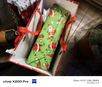 Vivo X200 Pro camera sample (54)