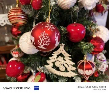 Vivo X200 Pro camera sample (6)