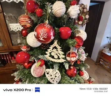 Vivo X200 Pro camera sample (7)