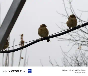 Vivo X200 Pro camera sample (76)