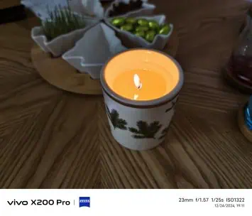 Vivo X200 Pro camera sample (98)