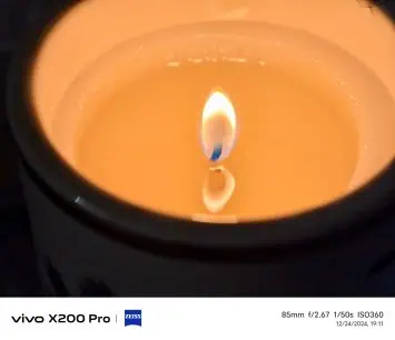 Vivo X200 Pro camera sample (99)