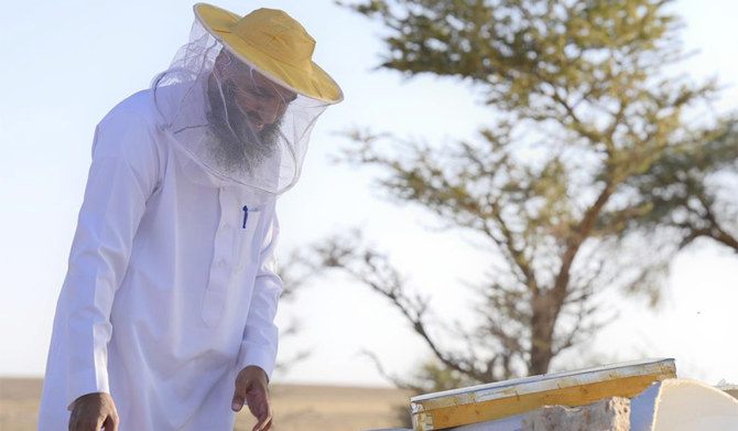 The authority aims to engage the local community in beekeeping and create job opportunities. (SPA)