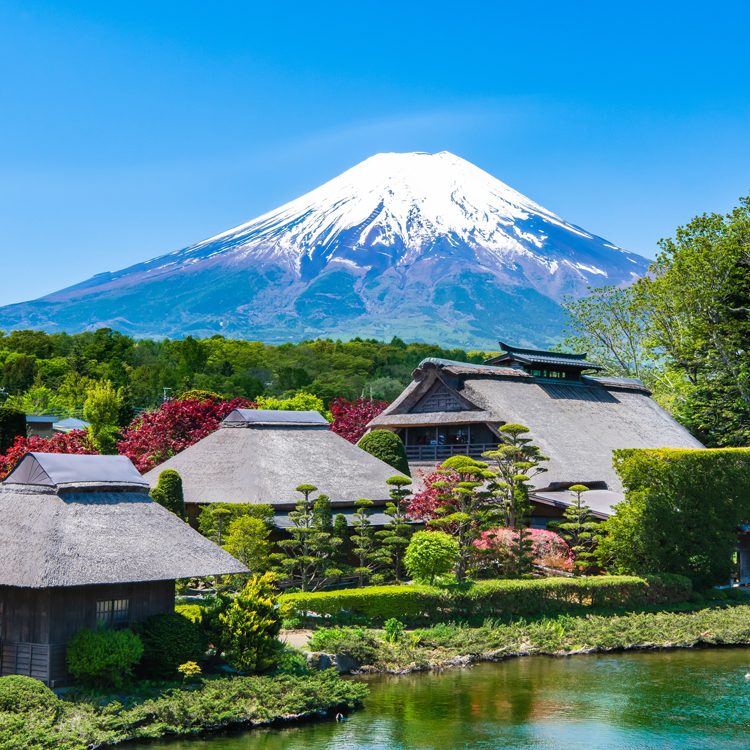 春からはじめる！　健康・学び・感動に出会える「あるき旅」　富士山すそ野／東海道五十三次