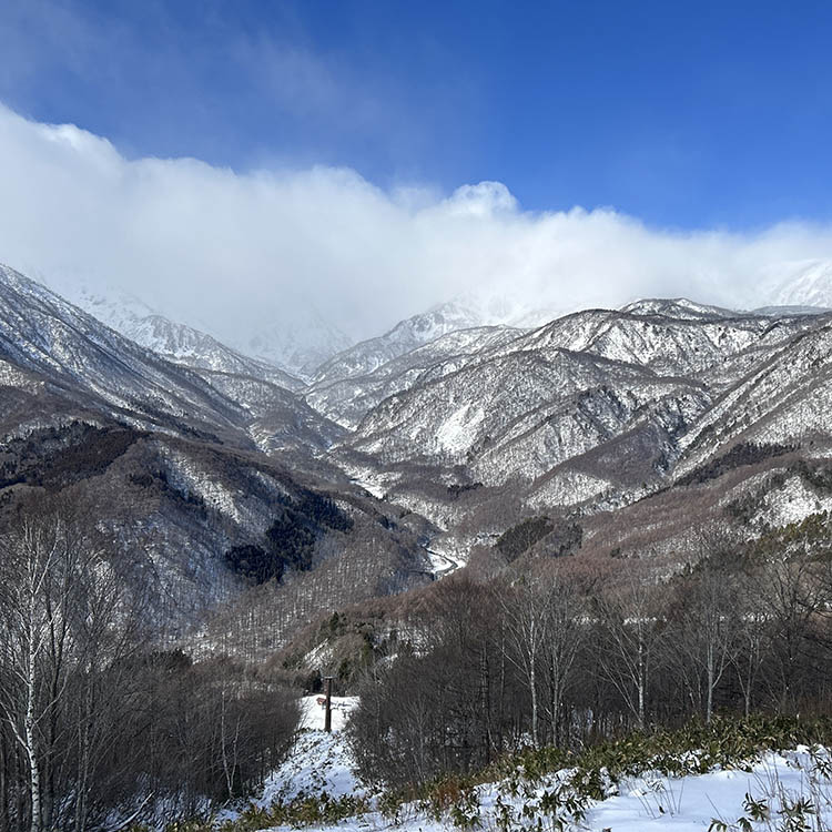 白馬の青い空と白い雪の間で　宇賀なつみがつづる旅(52)