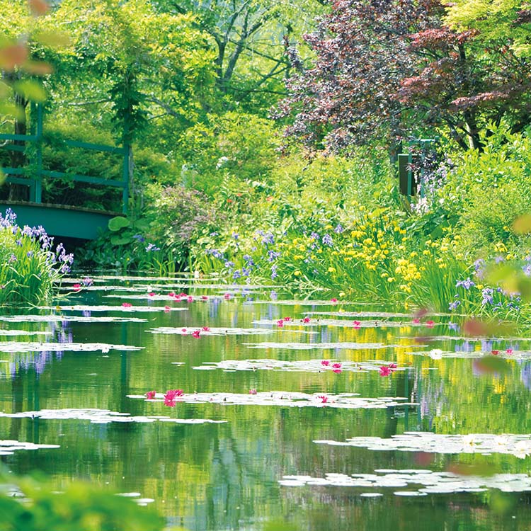 緑の風感じる花めぐり　彩り豊かなガーデンへの招待状