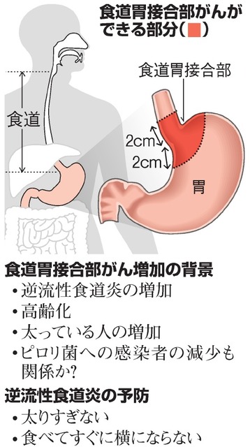 写真・図版