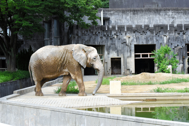 写真・図版