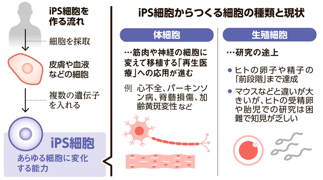 写真・図版