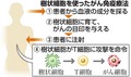 写真・図版