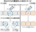 写真・図版