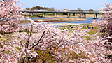 伊勢街道～お伊勢参り～