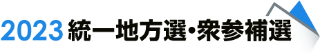 2023統一地方選・衆参補選