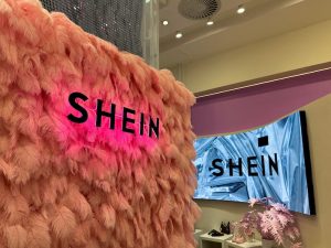 Call for US Product Safety Probe of Items Sold on Shein, Temu