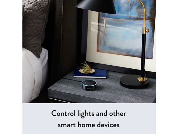 Amazon Echo Dot (2nd Gen) with Smart Plug