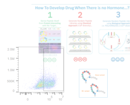 Therapeutic Peptides Webinar