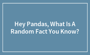 Hey Pandas, What Is A Random Fact You Know? (Closed)