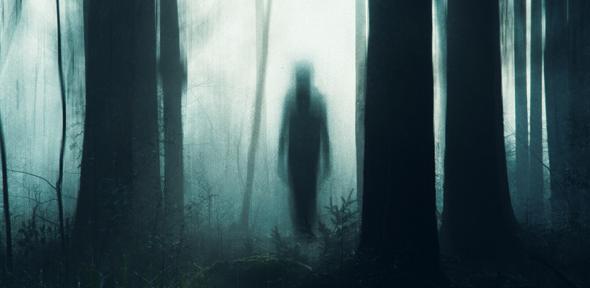 A ghostly figure silhouetted between trees in a forest.