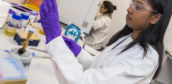 Researcher wearing white coat and protective gloves in lab