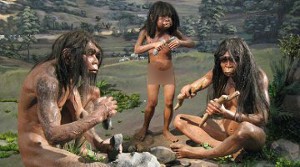 Homo erectus