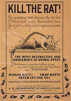 Thallium rat poison