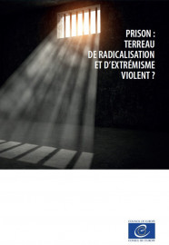 Prison : terreau de radicalisation et d’extrémisme violent ? (2018)