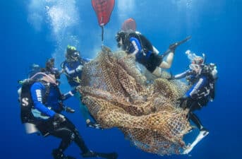 Meet the Winners of the 11th Annual UN World Oceans Day Photo Competition