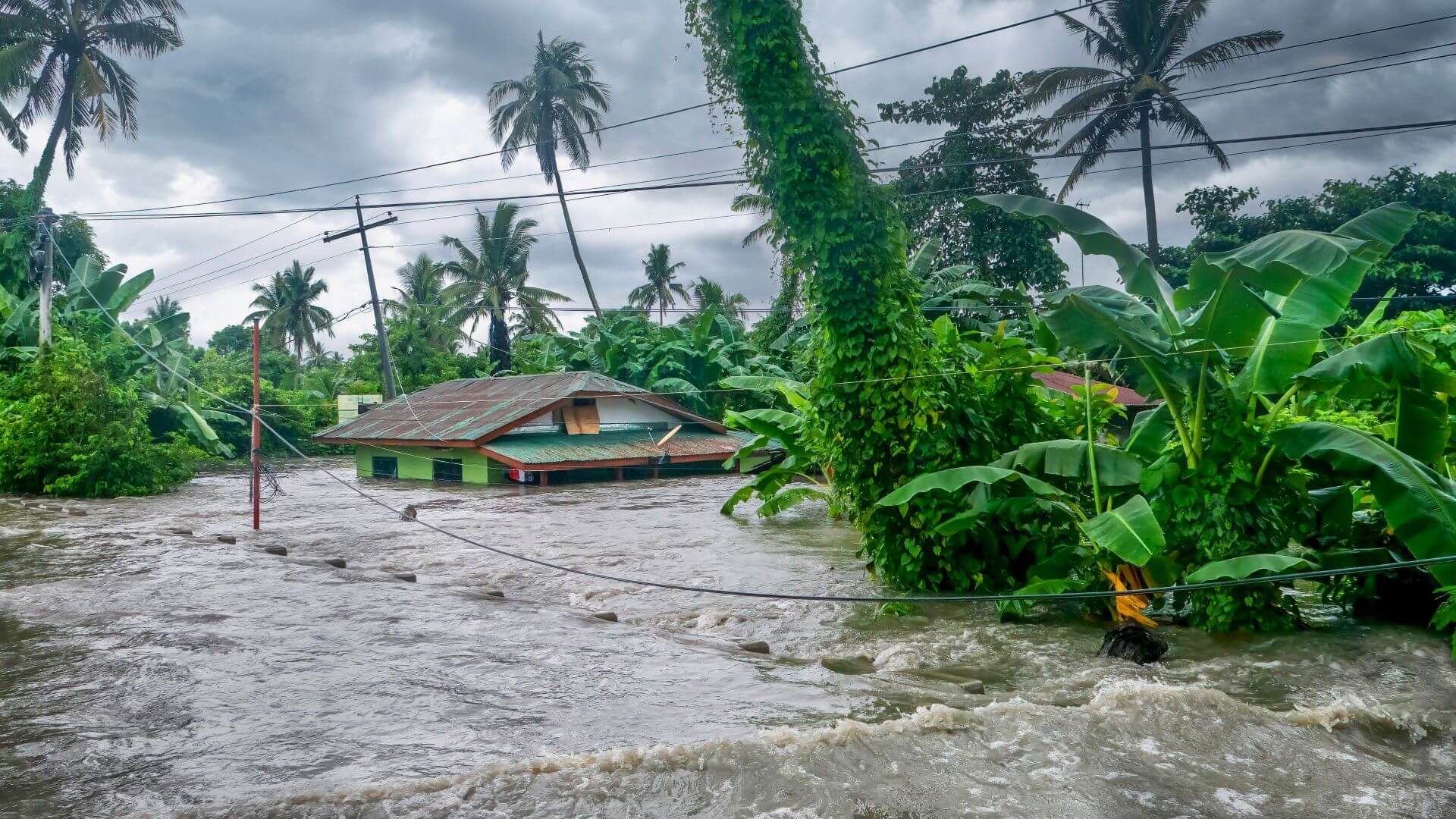 Flooded huts in forest, with waters rising among storm tossed trees