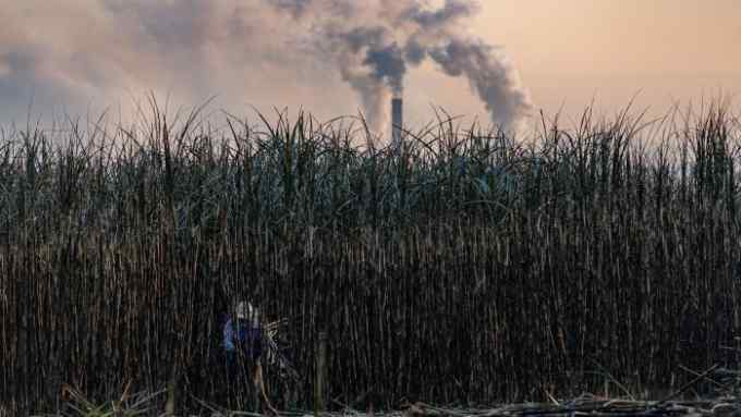 A farmer cutting sugar cane in a plantation. A smokestack is in the background