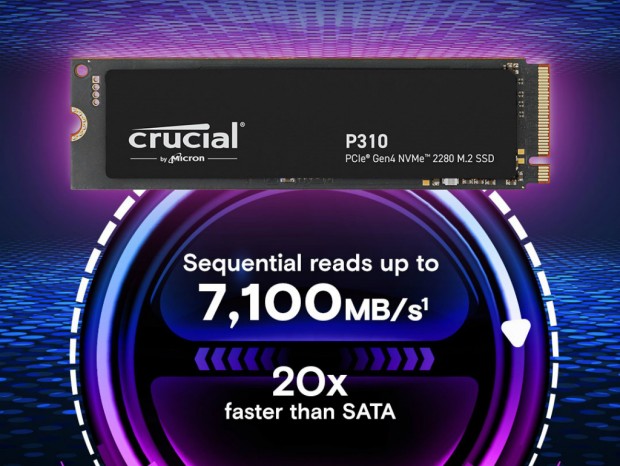 Crucial P310 2280