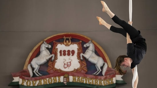 A young Ukrainian refugee circus student dangles from aerial silks in a training room in Budapest, Hungary, on February 13. More than 100 Ukrainian refugee circus students, between the ages of 5 and 20, found a home with the Capital Circus of Budapest after escaping the embattled cities of Kharkiv and Kyiv amid Russian bombings.(Denes Erdos / AP)