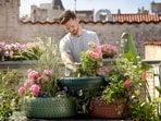 Provide support for tall plants: If you have tall or climbing plants, ensure they are properly supported to withstand strong winds and heavy rain. Staking or using trellises can help prevent them from getting damaged or uprooted. (Unsplash)