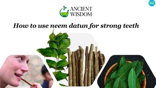 All parts of the neem tree be it leaves, seeds, flowers, fruits, bark and roots have been used to treat many diseases and disorders for thousands of years