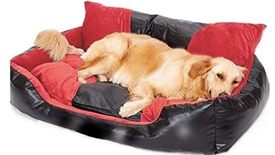 Best dog beds under <span class='webrupee'>₹</span>1500: Spoil your furry companions with comfort.