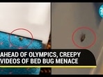 Videos of bed bugs in Paris' public places are going viral