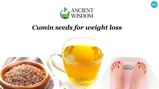 Cumin has been a valuable spice since time immemorial and finds mention in ancient text like Charak Samhita and Bible