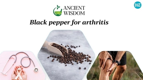 Black pepper has a rich history dating back to ancient times. It was highly prized in the Roman Empire and was even referred to as 'black gold' due to its significant value