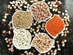 World Pulses Day is celebrated every year on February 10 to raise awareness about the nutritional and environmental benefits of pulses. World Pulses Day aims to highlight the important role of pulses in sustainable food systems and their contribution to global nutrition and food security. On the occasion, here are some different types of pulses and their benefits: (Unsplash)