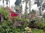 At least five people, including a woman, were killed and around 500 injured after a cyclonic storm hit West Bengal's Jalpaiguri on Sunday afternoon.(ANI)