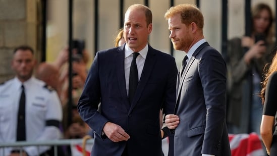 Prince Harry flew more than 5,000 miles to see his father after King Charles III was diagnosed with cancer. But he did not see his estranged brother, William, during a visit that lasted scarcely 24 hours. (AP Photo/Martin Meissner, File)(AP)