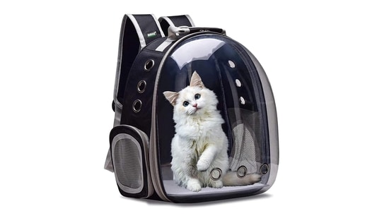 Best kitten bags for travels to keep your feline safe and comfortable.