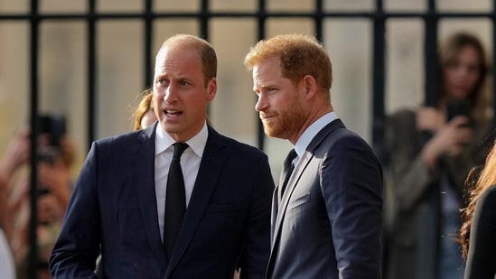 Prince William won't forgive Prince Harry because there's ‘too much bad blood': expert (AP Photo/Martin Meissner, File)(AP)