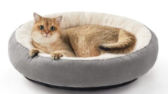Best cat beds are ones that offer comfort and can be cleaned easily too.