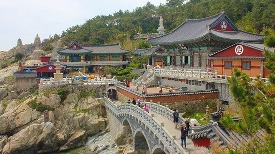 Why South Korea should be your next travel destination for business and leisure (Photo by Twitter/BaSnorkel)