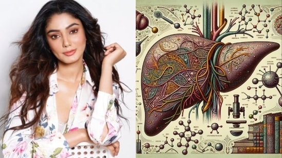 Latest news on June 27, 2024: Bigg Boss OTT 3's Sana Makbul opens up about battle with non-alcoholic hepatitis: Know its causes, symptoms, treatment 